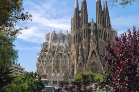 Private Golden Hour in Sagrada Familia Tour & Park Güell's Sunset