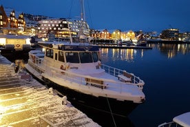 Promenade dans la ville de Tromsø