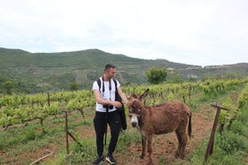 Albanese hoogtepunten - UNESCO-sites, natuur- en voedseltour