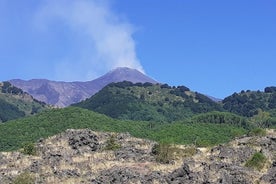 Tour dell'Etna e di Taormina dal porto di Messina