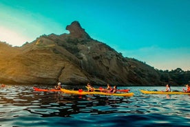 La Ciotat: Stýrð kayakferð í Calanques þjóðgarðinum