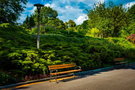 Bench in a beautiful botanical park in Lublin.