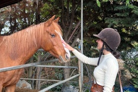 Tuscan Chianti Hills Horseback Riding Tour