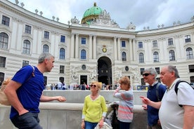 Private Introduction to Vienna Walking Tour