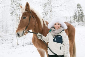 Tour to Aurora Horses Farm with Charming Finnhorses