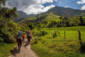 Balade à cheval dans le Mugello (transfert de / vers Florence) et apéritif toscan