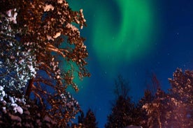 Alta: Horse Riding Under the Northern Lights