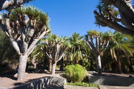 Passeio pela cidade de Las Palmas e arredores