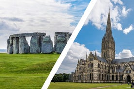 Stonehenge och Salisbury / Magna Carta privat turné från Southampton