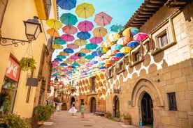 Barcelona: Poble Espanyol sviptilettamiði