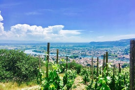 Wein des nördlichen Côtes du Rhône