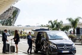 Privater Transfer vom Flughafen Charles de Gaulle nach Paris