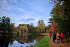 Forest Mind Tour in Tampere