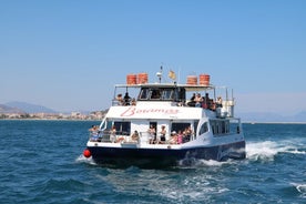 Promenade en catamaran et baignade depuis le port de Valence 