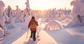 Cross-Country Skiing in Venabu