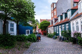 Aarhus comme un local: Visite privée sur mesure