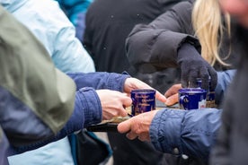 The Christkindlesmarkt of Nuremberg. Guided tour with tastings