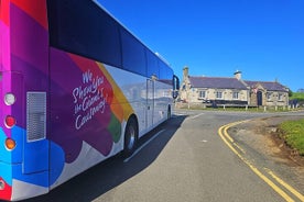 Excursion d'une journée à la Chaussée des Géants et visite de la ville de Belfast Pass 1 jour