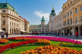 Transfer from Salzburg to Vienna: Private daytrip with 2 hours for sightseeing