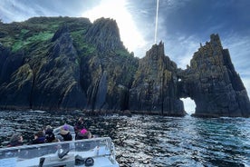 Blasket Island Sea Life Rib Tour,