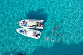 Dagelijkse rondleiding door de Egadische Favignana Levanzo