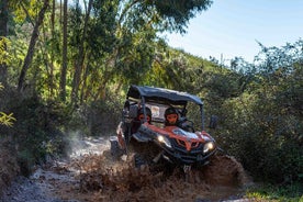 Excursión de un día en buggy a Dirt & Dust Paradise en Silves Portugal