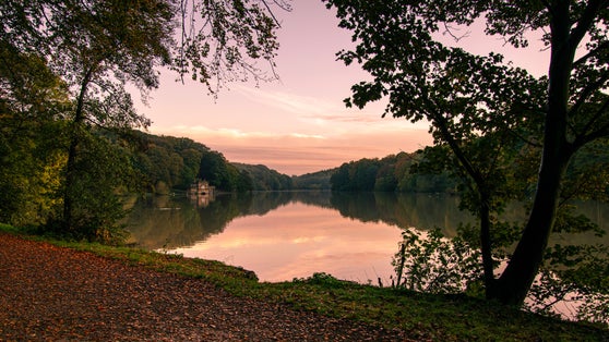 Photo of beautiful landscape in Newmillerdam, UK.