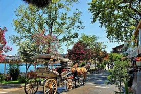 Excursão à Ilha dos Príncipes de Istambul com almoço e traslado do hotel