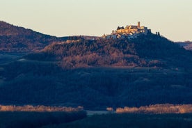 Motovun og Groznjan guidet tur med trøffelsmaking