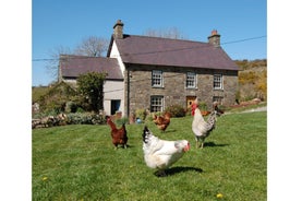 Nantgwynfaen Organic Farm