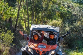 Halvdags Getaway Buggy Tour