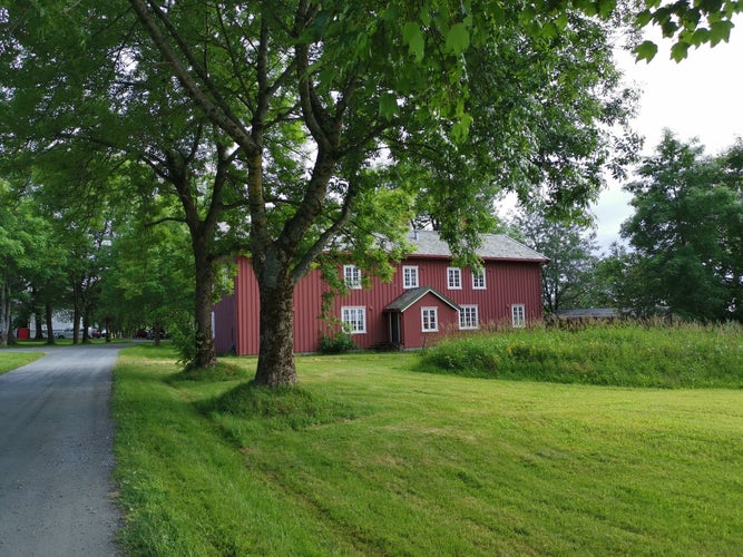 photo of view of Alstahaug Farm Historic Site Sandnessjøen Helgeland Northern Norway NAture Flowers