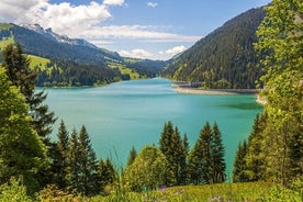 Interlaken Historyczny: Ekskluzywna Prywatna Wycieczka z Lokalnym Ekspertem