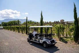 Déjeuner de fruits de mer avec dégustation de vin et visite sur une voiturette de golf