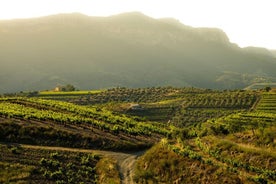 Expérience d'une journée complète de visite privée des vins du Priorat au départ de Barcelone