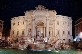 Affascinante tour VIP accompagnato di Roma di notte