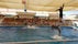 Aksu Dolphinarium, Aksu, Antalya, Mediterranean Region, Turkey