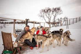 Husky gæludýr og myndir á Akureyri (einka)