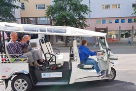 Helsinki borg: 2,5 tíma borgarferð með rafknúnu TukTuk-farartæki