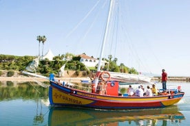 Excursion d'une journée à Alvor, au départ de Lagos