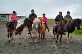 Vivi la campagna islandese a cavallo