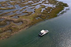 法鲁的 Ria Formosa 泻湖生态游船之旅