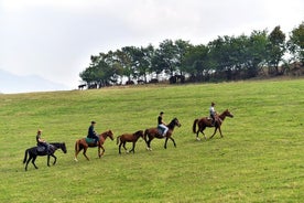 Historiske Trail Rides