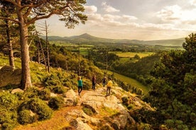 Viagem diurna por Wicklow com excursão guiada, incluindo excursão para Glendalough saindo de Dublin