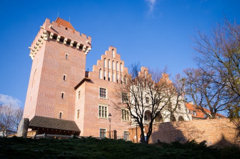 The castle of Poznan - Poland