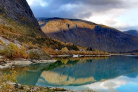 Flåm sveigjanleg ferð með Stegastein, skemmtisigling og lest með í pakkanum