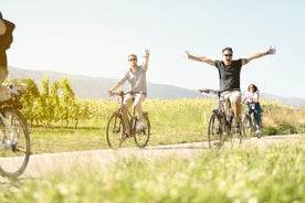 Tour guidato in bici di 2 ore per piccoli gruppi a Ginevra