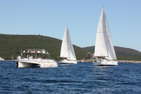 Kotor Cruise: Perast, Our Lady of the Rocks, Mamula, Blue Cave, Porto Montenegro