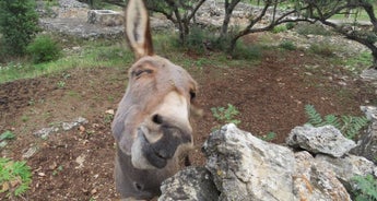 Walk and hike from Split to Dubrovnik