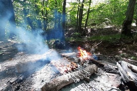 Grill i skogen nær Tbilisi